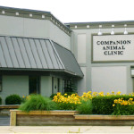 Companion Animal Clinic Tecumseh MI