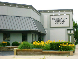 Companion pet best sale clinic near me